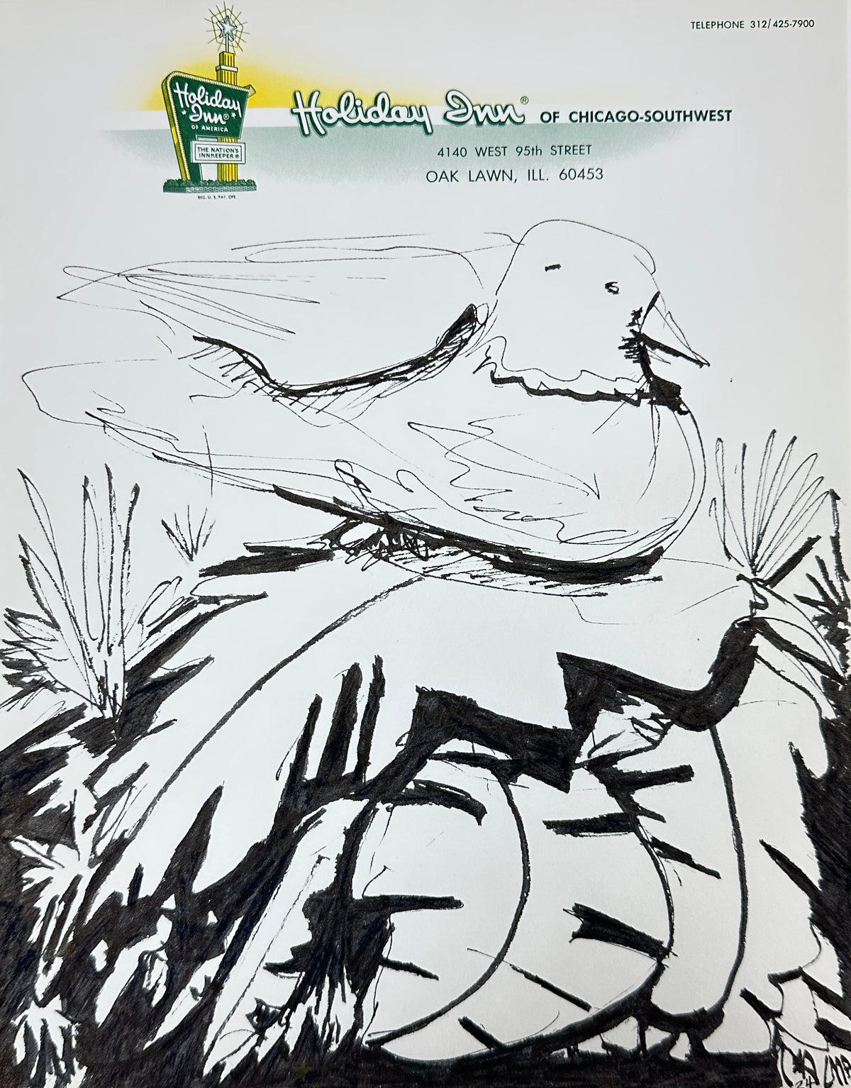 Calm dove